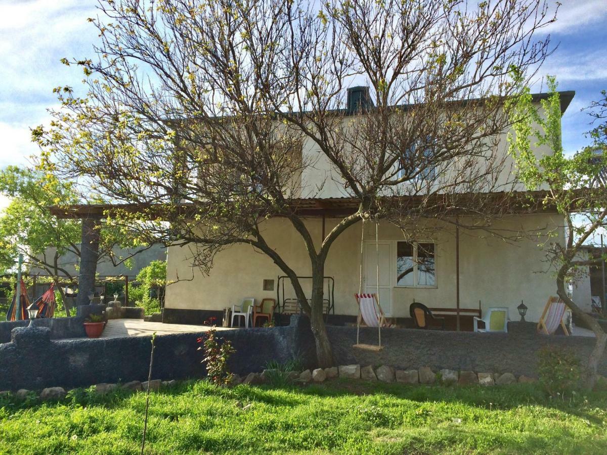 Mamuka'S Guesthouse Udabno Exterior foto